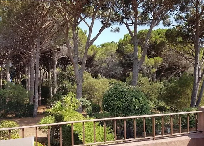 A 2 Min Des Plages Clim Parking Apartment Sainte-Maxime