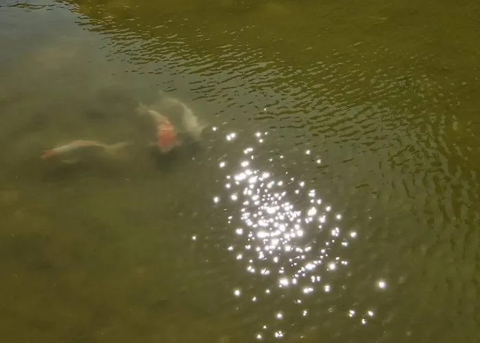 A 2 Min Des Plages Clim Parking *