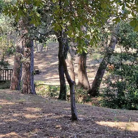 A 2 Min Des Plages Clim Parking *