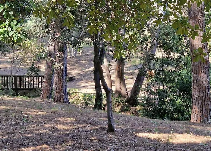 A 2 Min Des Plages Clim Parking *