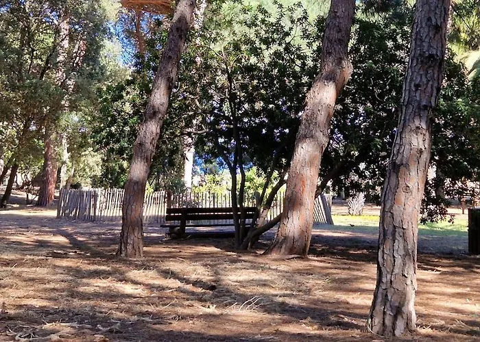 A 2 Min Des Plages Clim Parking Apartment